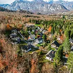 Crystal Aura * Bohinj